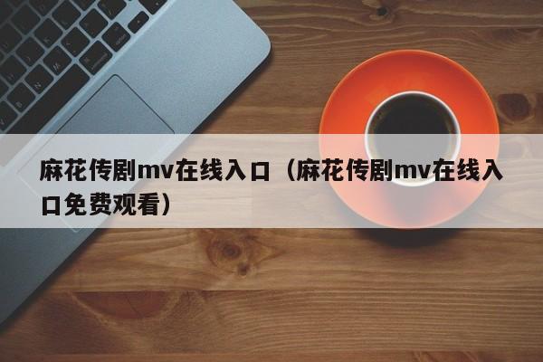 麻花传剧mv在线入口（麻花传剧mv在线入口免费观看）